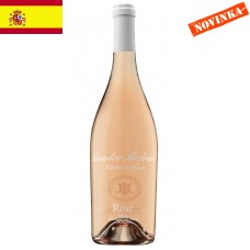 Rosé BODEGAS MEDRANO IRAZU Rioja 2022