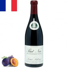 Bourgogne Pinot Noir Louis Latour 